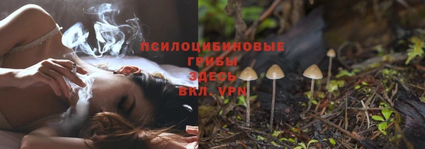 бутират Михайлов