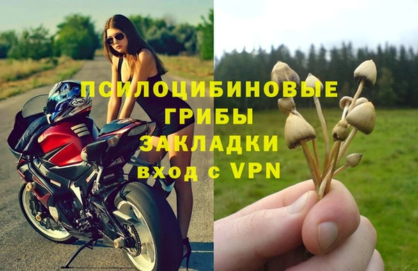 бутират Михайлов